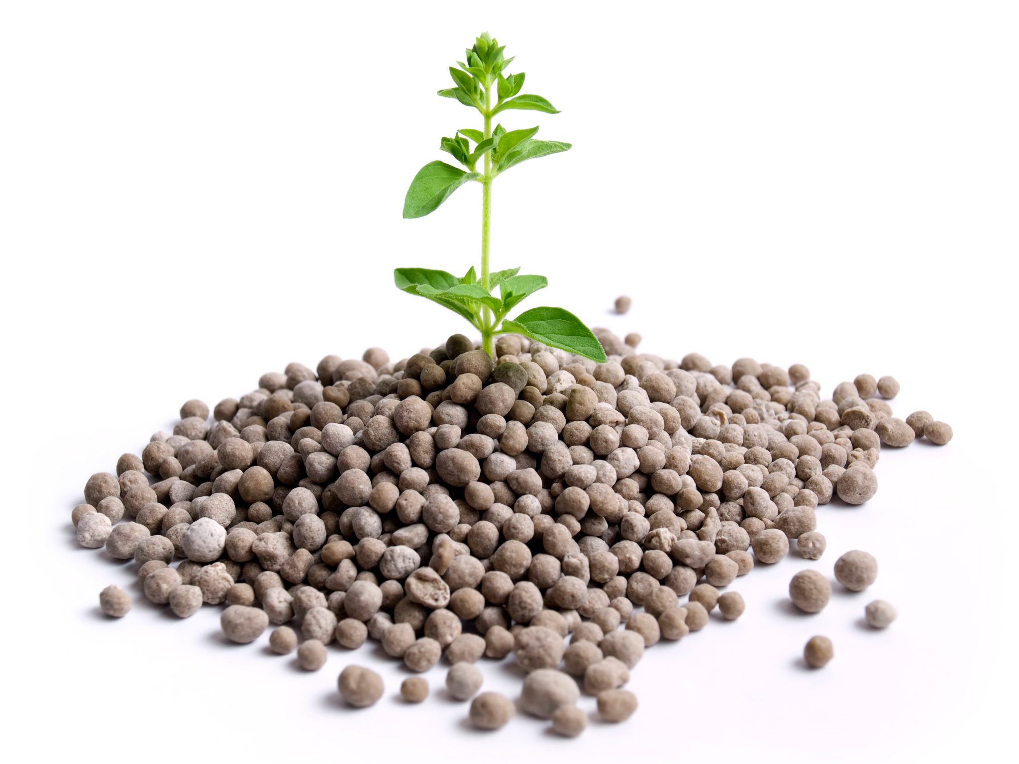 shutterstock_78916219